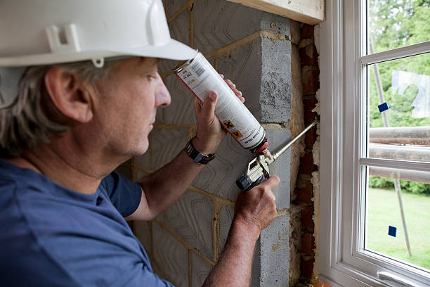 Best Wall Insulation Installation  in Hampton, SC